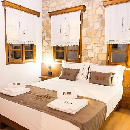 Hotel Blin